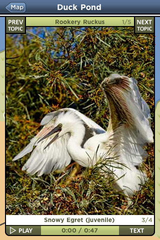 Slow Life Games Baylands Tour App Image of a Juvenile Snowy Egret