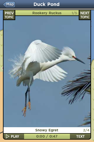 Slow Life Games Baylands Tour App Image of a Snowy Egret